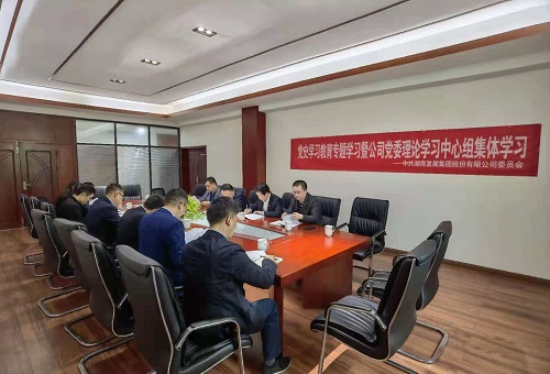 （中国）有限责任韦德网站党委深入一线开展党史学习教育
